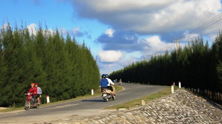 Con Vanh – der unberührte und neue Reiseort in Thai Binh - ảnh 2